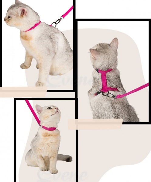 Pembe Kedi Tasması Boyun Göğüs Ayarlanabilir Sevk Kayışlı Gezdirme Seti Tasması